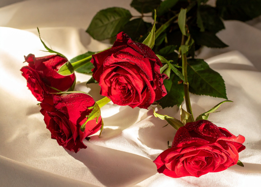 Valentine's Day Flowers Braybrook - Blossom Tree Florist